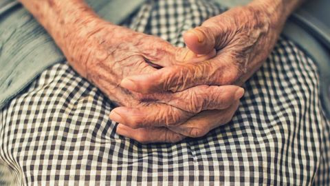 Study Identifies Targetable Immune Component of Alzheimer's Disease