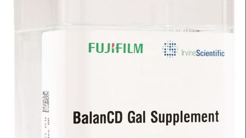 Enhanced Galactosylation For Biotherapeutic Development
