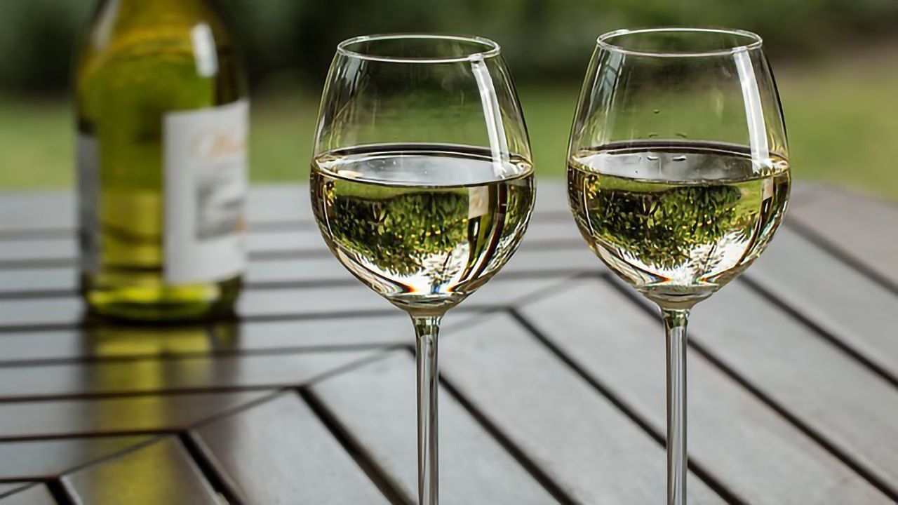 A Toast – To the Genetic Diversity of Grapes