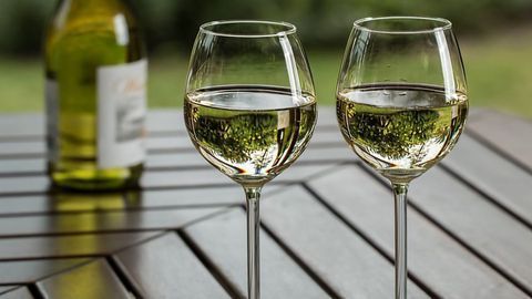 A Toast – To the Genetic Diversity of Grapes