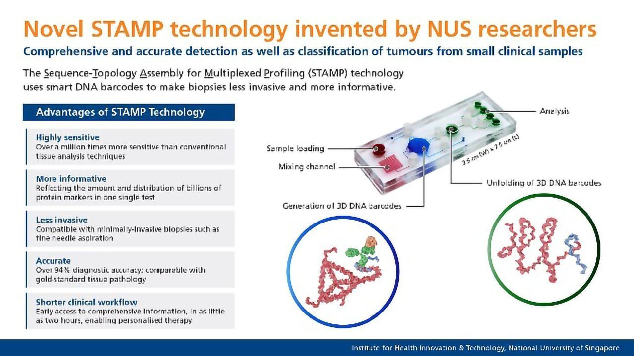 Novel Technology Makes Biopsies Less Invasive and More Informative