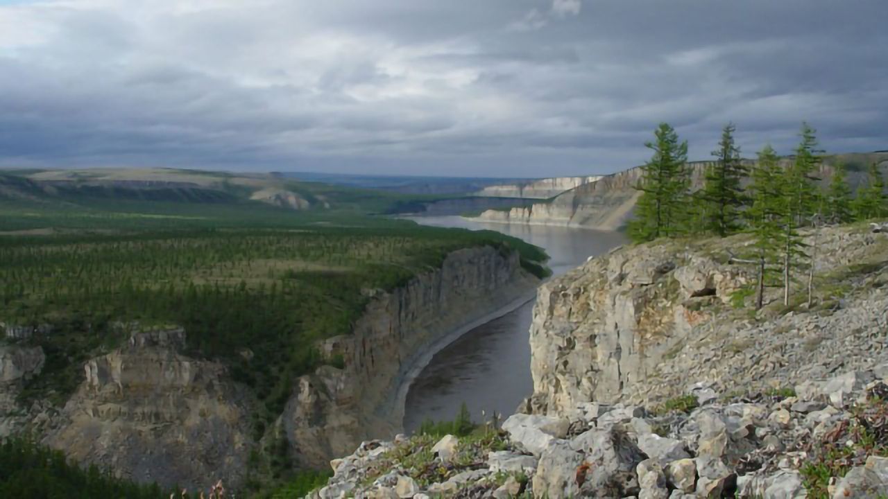 Is Earth's Oxygen Controlled by Animals?
