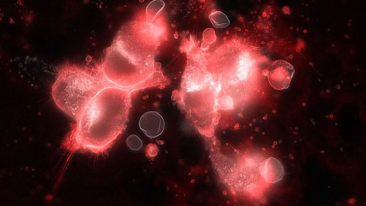 New Platform to Analyse exRNA for Cancer Diagnostics