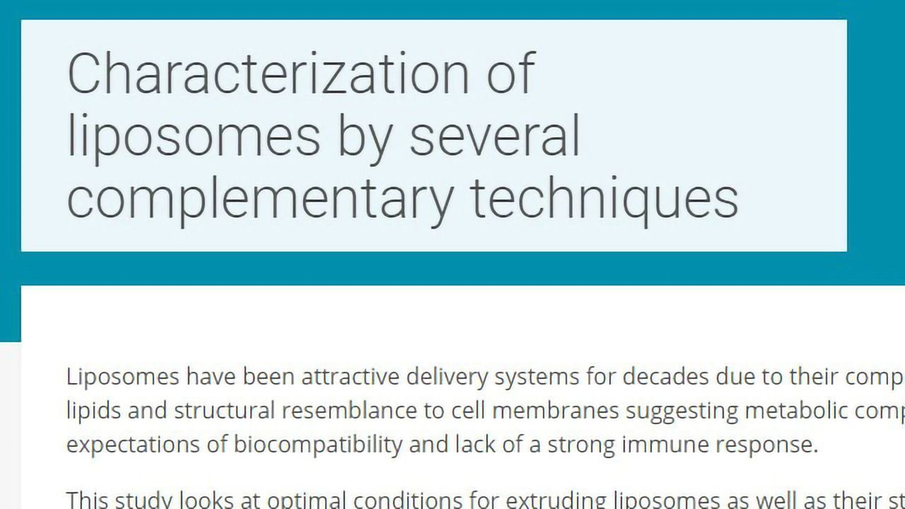 Characterization of Liposomes by Several Complementary Techniques