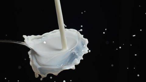 Turns Out We've Been Enjoying Milk Since Prehistory