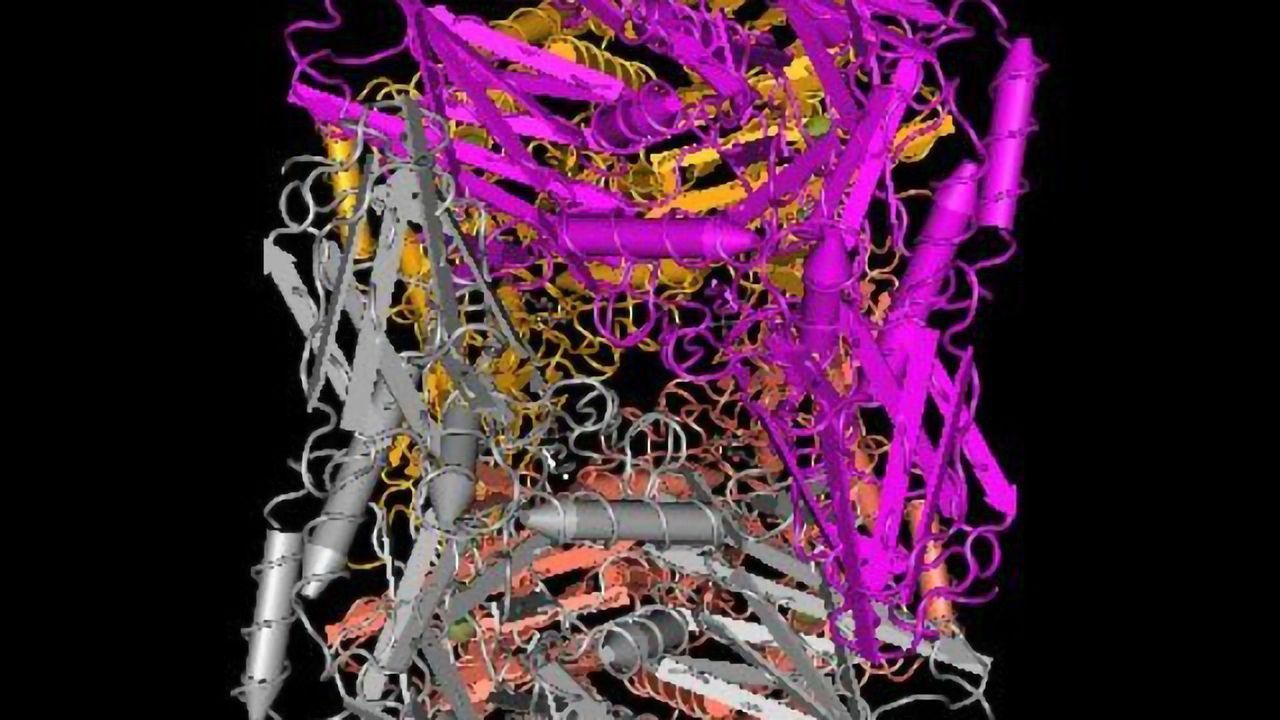 Gut Bacteria As Forces for Good (and Sometimes Evil)