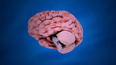 An Overactive Cerebellum Causes Widespread Problems Across the Brain