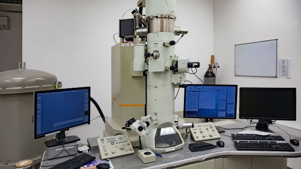 Automated, Reproducible Workflows Can Speed Up EM Image Analysis