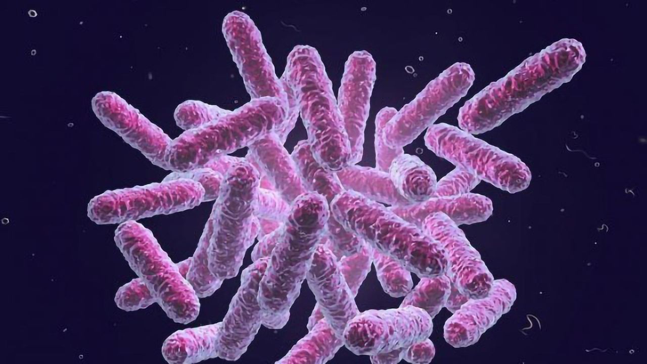 Diet May Mitigate Unwanted Side Effects of Antibiotic Treatment