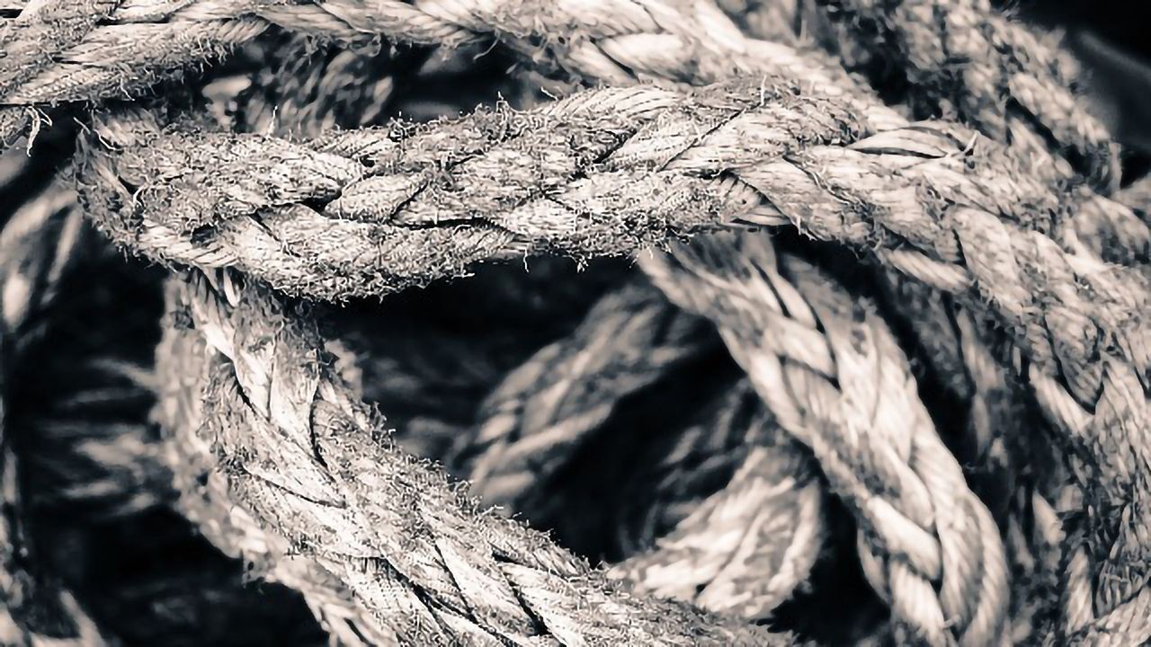 Knotty Problem of Cell Reprogramming Solved