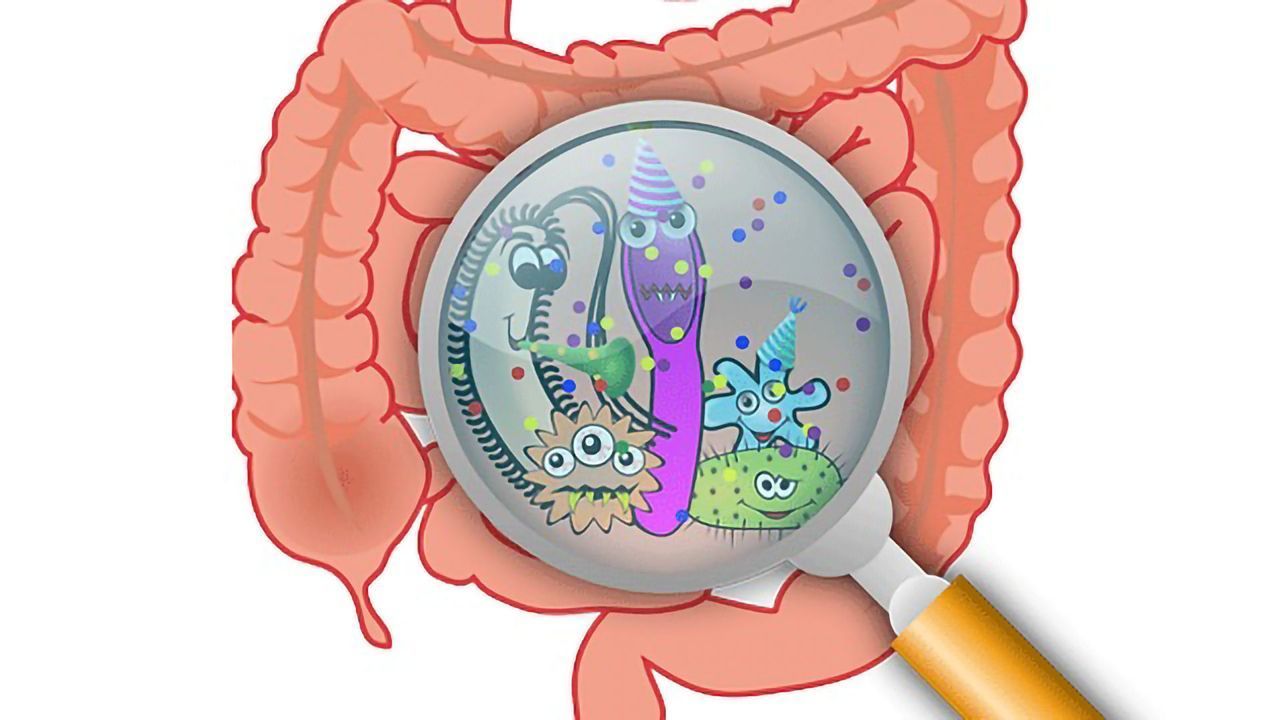 Designing Microbiome Therapeutics to Help Cure Cancer