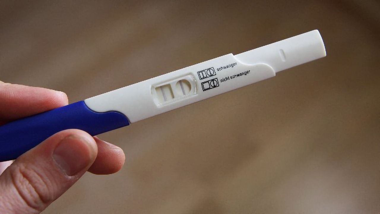 Bone Marrow May Be the Missing Piece of the Fertility Puzzle