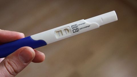 Bone Marrow May Be the Missing Piece of the Fertility Puzzle