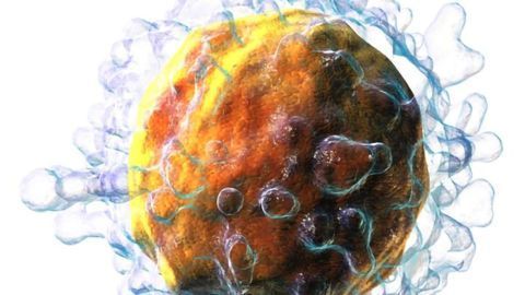 Maths of Narrow Escapes Molds Immune Responses