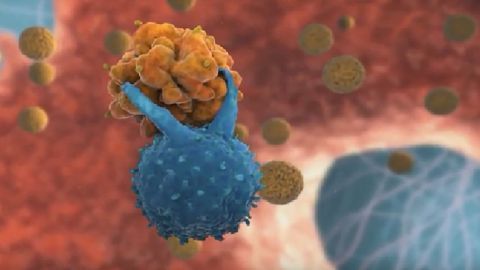 Biomarker-based Companion Diagnostics Are Enabling Precision Oncology