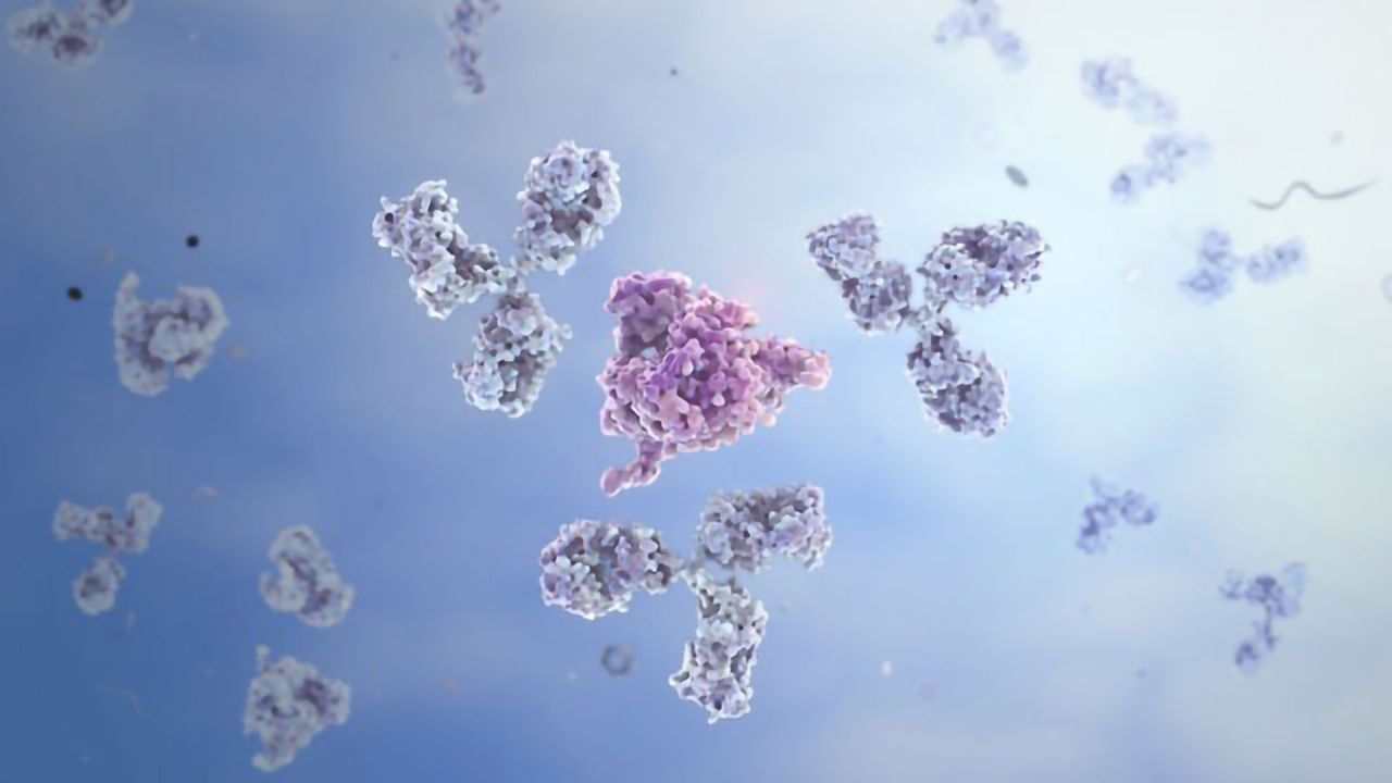 Host Cell Protein ELISA Detection Kits