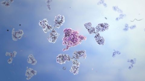 Host Cell Protein ELISA Detection Kits