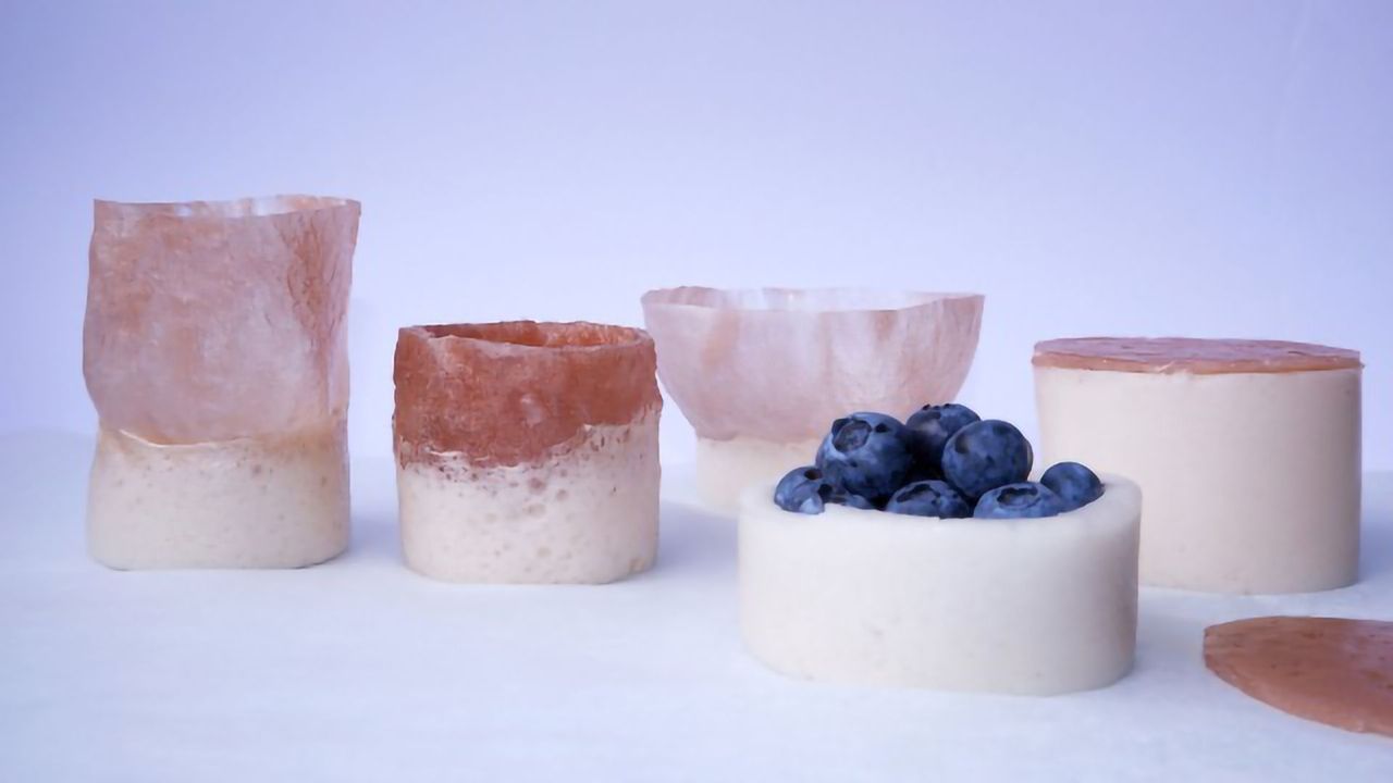 Living in the (Bio)material World: A Night at Biodesign Here Now
