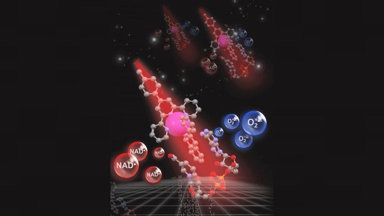 Catalyst Destroys Cancer Cells’ Essential Energy Source