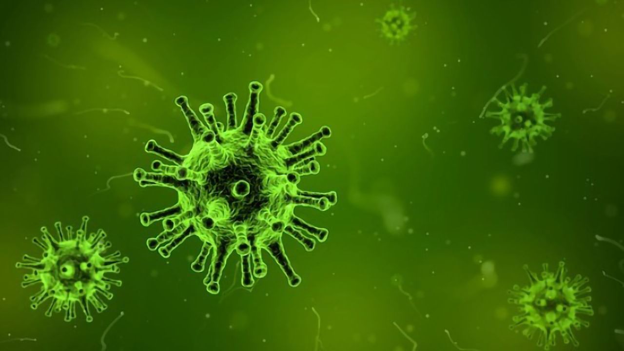 Knocking Out Viral Infections With Fullerene
