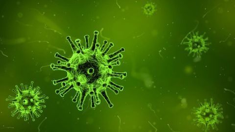 Knocking Out Viral Infections With Fullerene
