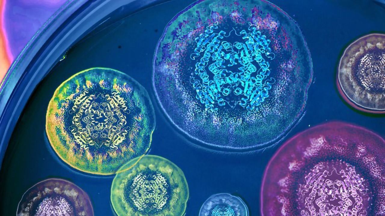 Solved: 50-Year-Old Mystery of How Nature Produces Bioactive Chemical Compounds