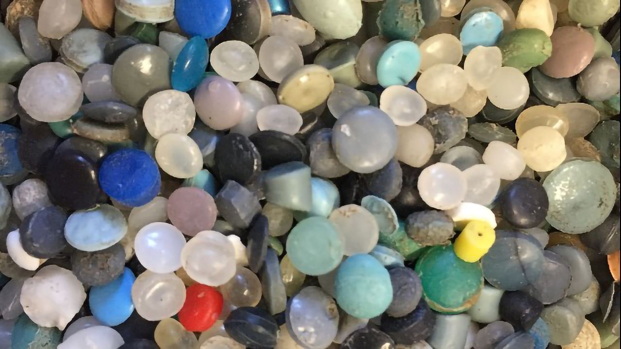 Microplastics Go Benthic
