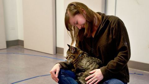 Cats Develop Strong Attachments to Their Caregivers, New Study Shows