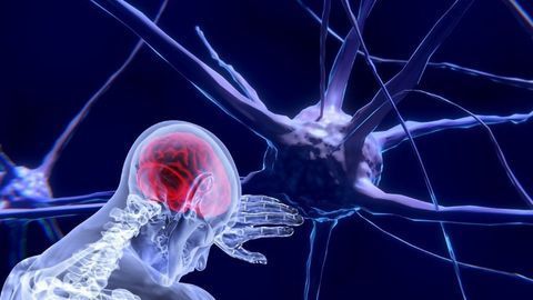 Pressure Within the Brain May Regulate Seizure Activity, New Avenue for Treatment