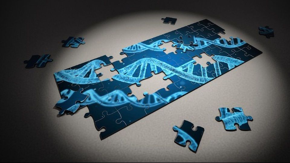 Researchers Used High-Throughput Mutagenesis to Study Amyotrophic Lateral Sclerosis (ALS), with Unexpected Results content piece image