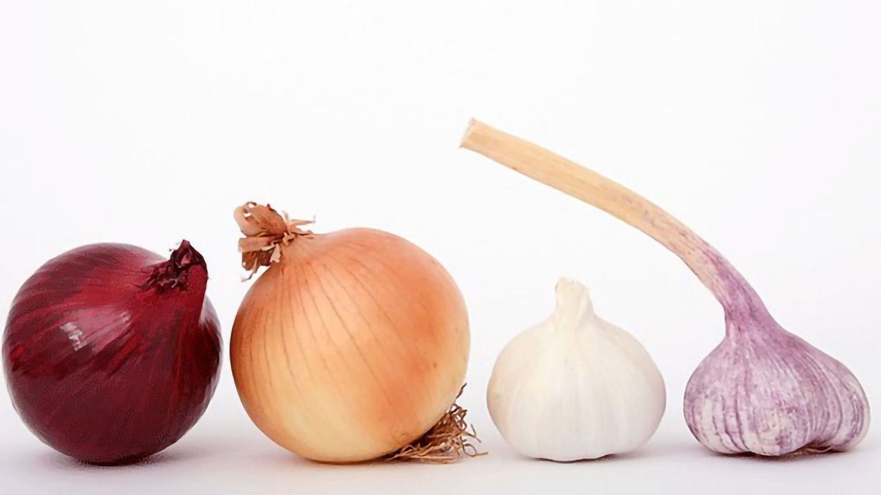 Onions and Garlic – A Recipe for Reducing Breast Cancer Risk?
