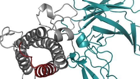 Immune Communications Enable Quality Control