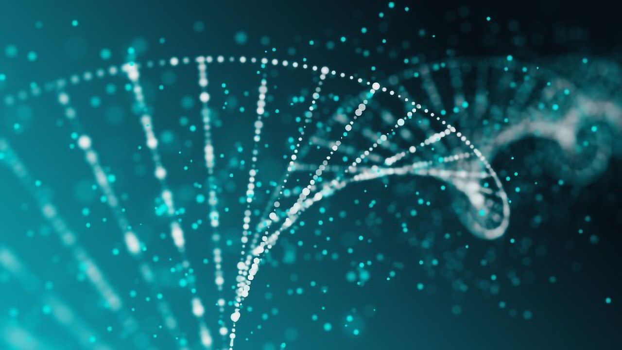 White Blood Cell Genes Are Disrupted in Autism