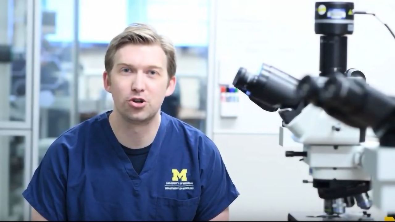 From Biopsy to Diagnosis: How Pathologists Diagnose Cancer and Other Diseases