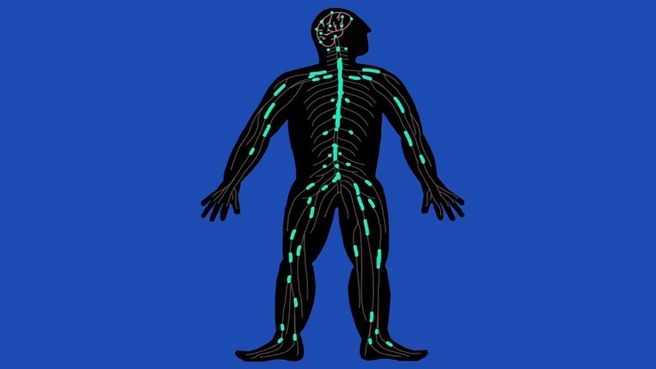 Nerve Repair: Regeneration in Spinal-cord Injury
