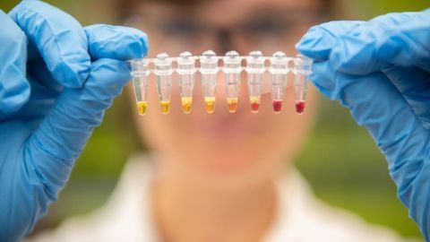 New Test Detects Life-threatening Zinc Deficiency