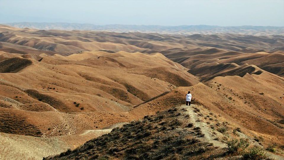 Large Genetics Study Finds Iran’s Population Is Highly Heterogeneous content piece image