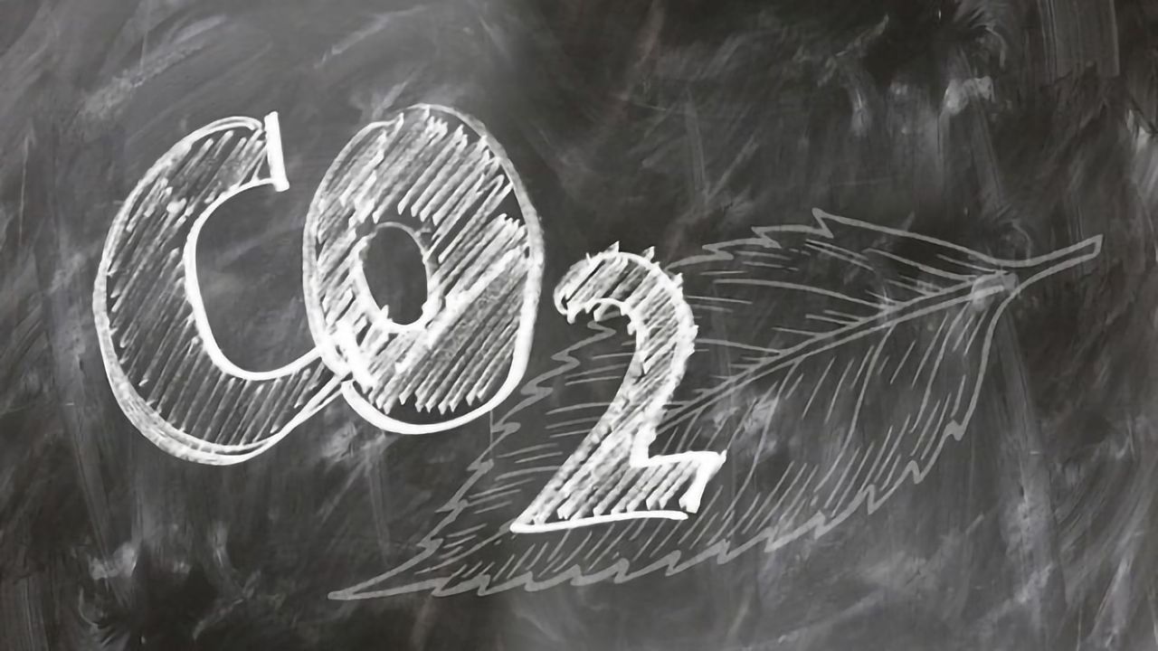 How Will Soaring Carbon Dioxide Levels Shape Modern Man?
