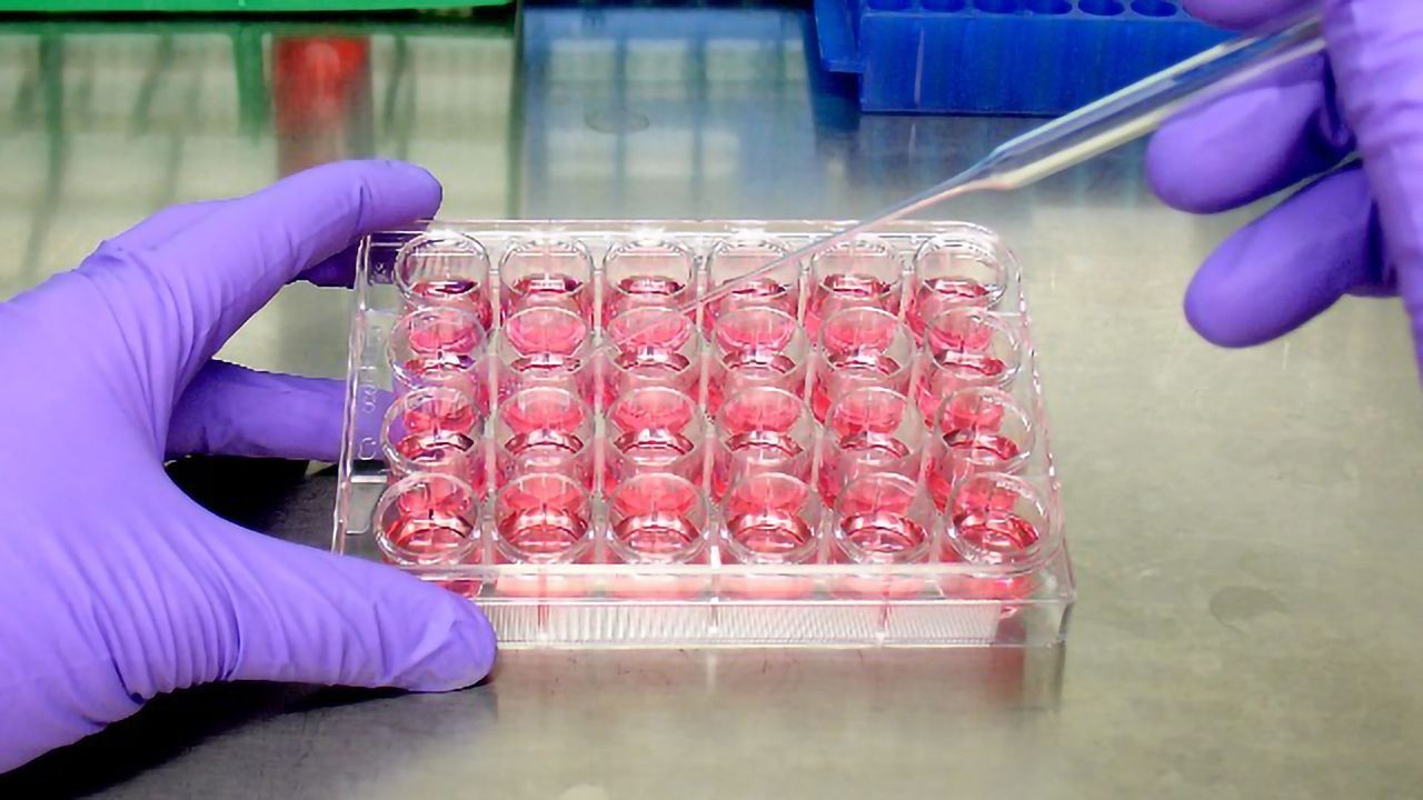 Are You in Control of Your Cells?