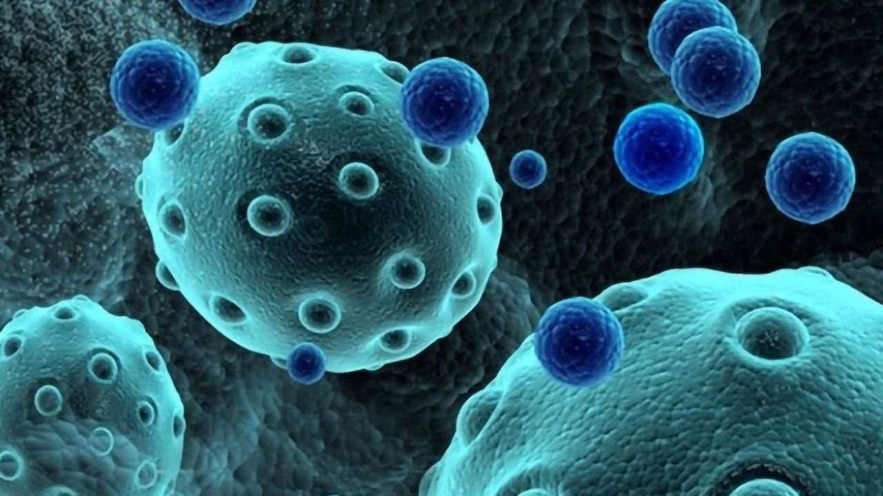 Advancing Cancer Therapy With Exosome Isolation and Detection Kits