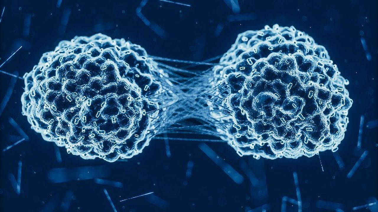 Re-engineering Fat Cells To Deliver Cancer-fighting Drugs