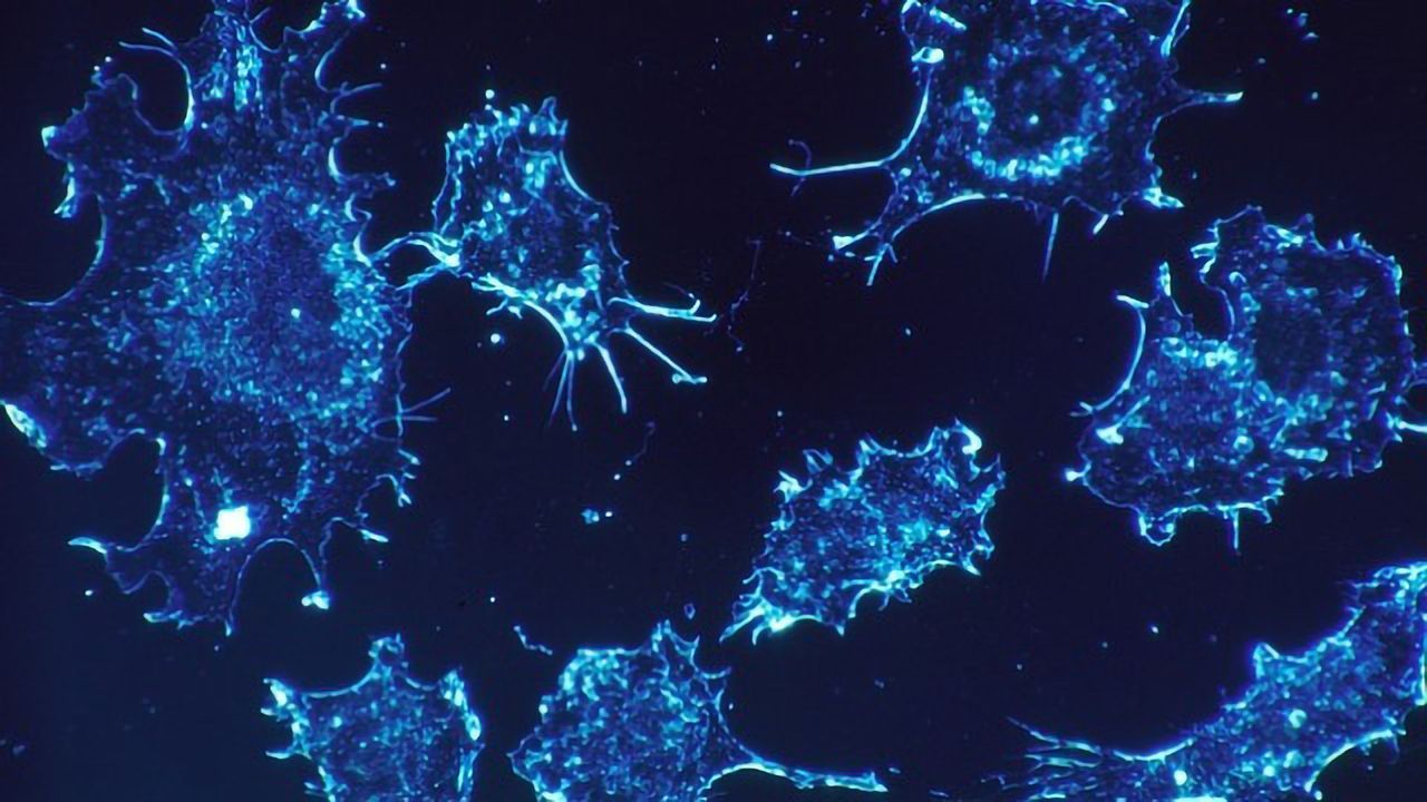 Novel Method Tackles Drug-resistant Cancer Cells