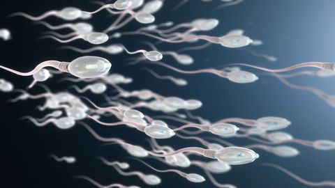 Could Semen Be a Liquid Biopsy Option for Prostate Cancer?