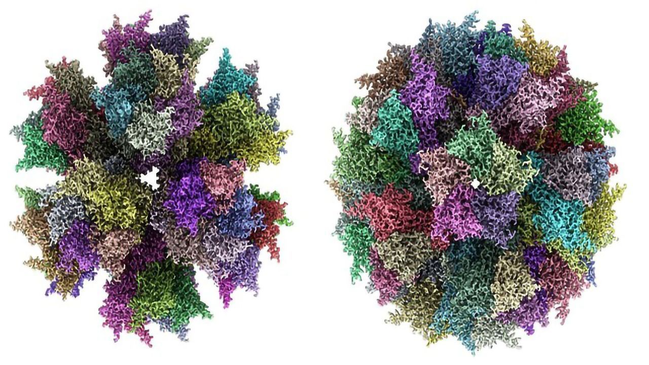 Synthetic Vaccine Can Be Stored at Warmer Temperatures