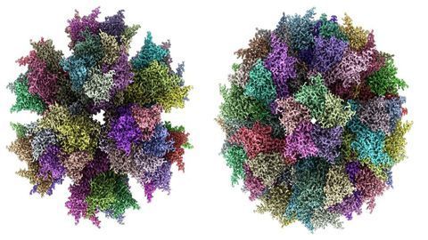 Synthetic Vaccine Can Be Stored at Warmer Temperatures