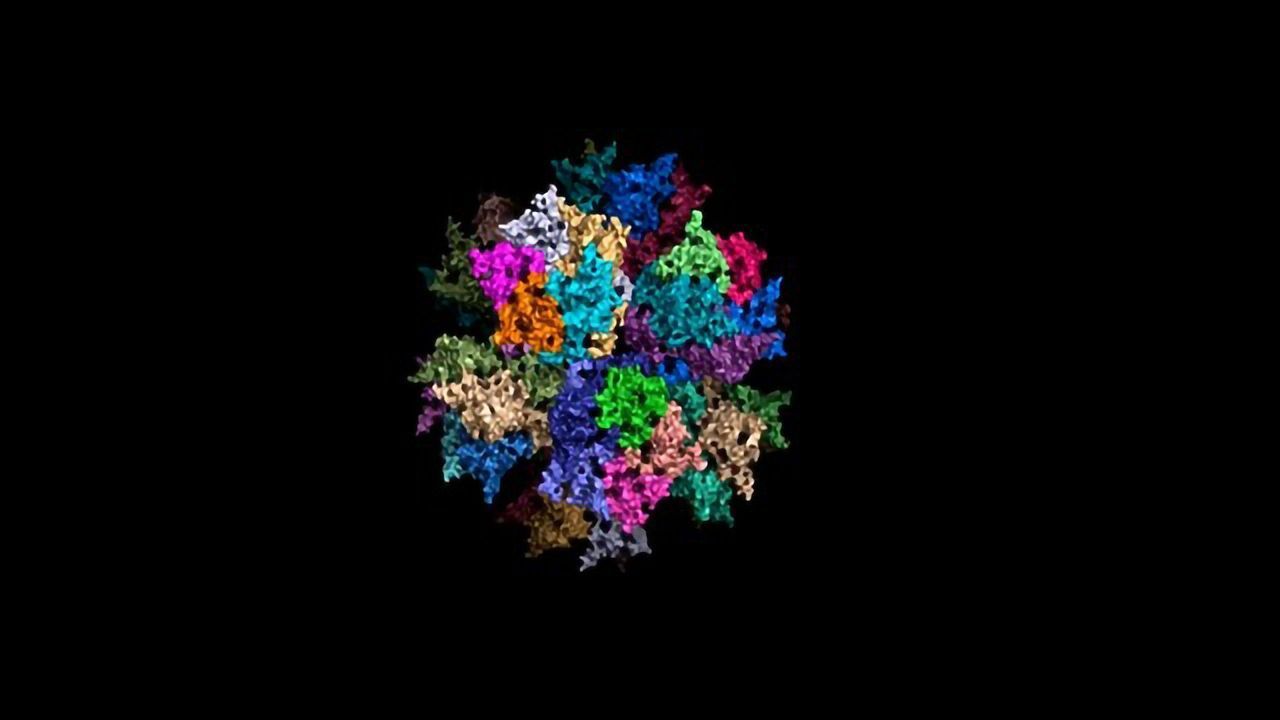 ADDomer – A New Kind of Vaccine for Untreatable Infection
