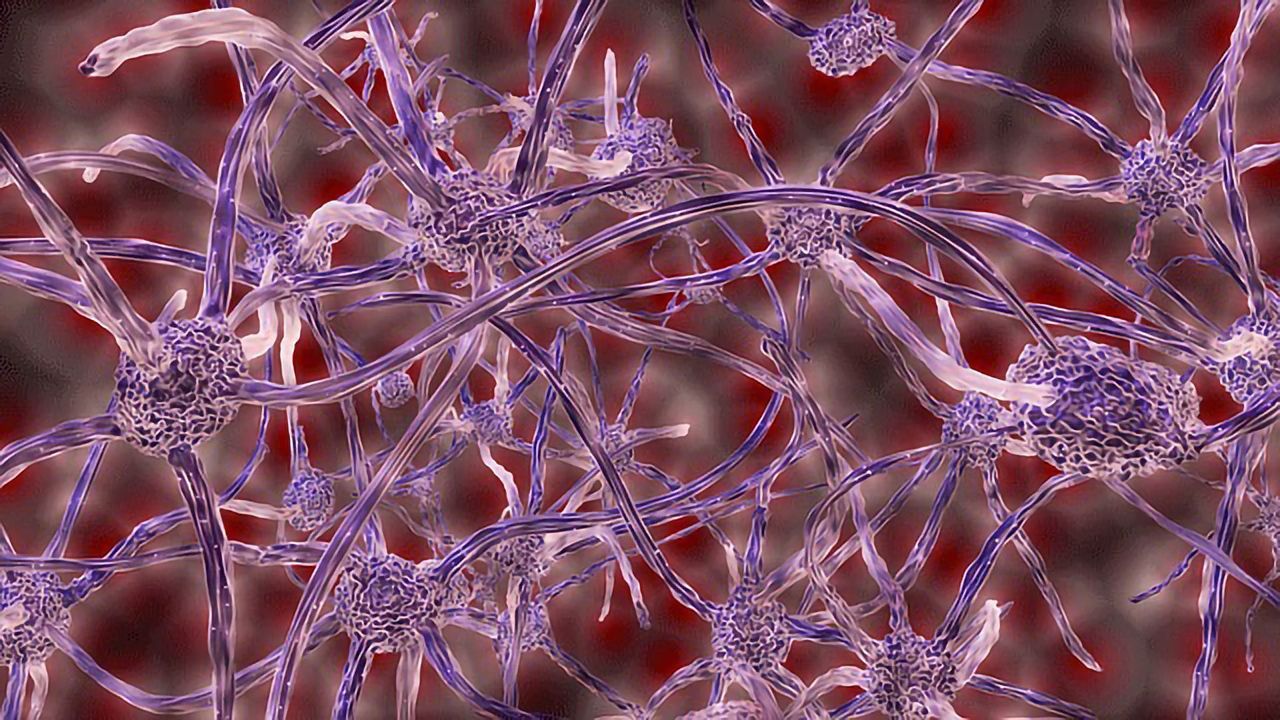 Cancerous Cells Form Surprising Connections With Healthy Brain Cells