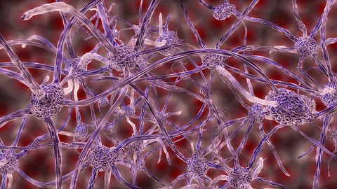 Cancerous Cells Form Surprising Connections With Healthy Brain Cells