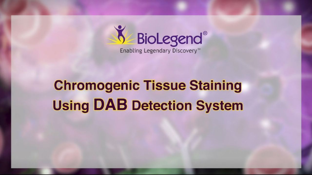 Chromogenic Tissue Staining Using DAB Detection Systems