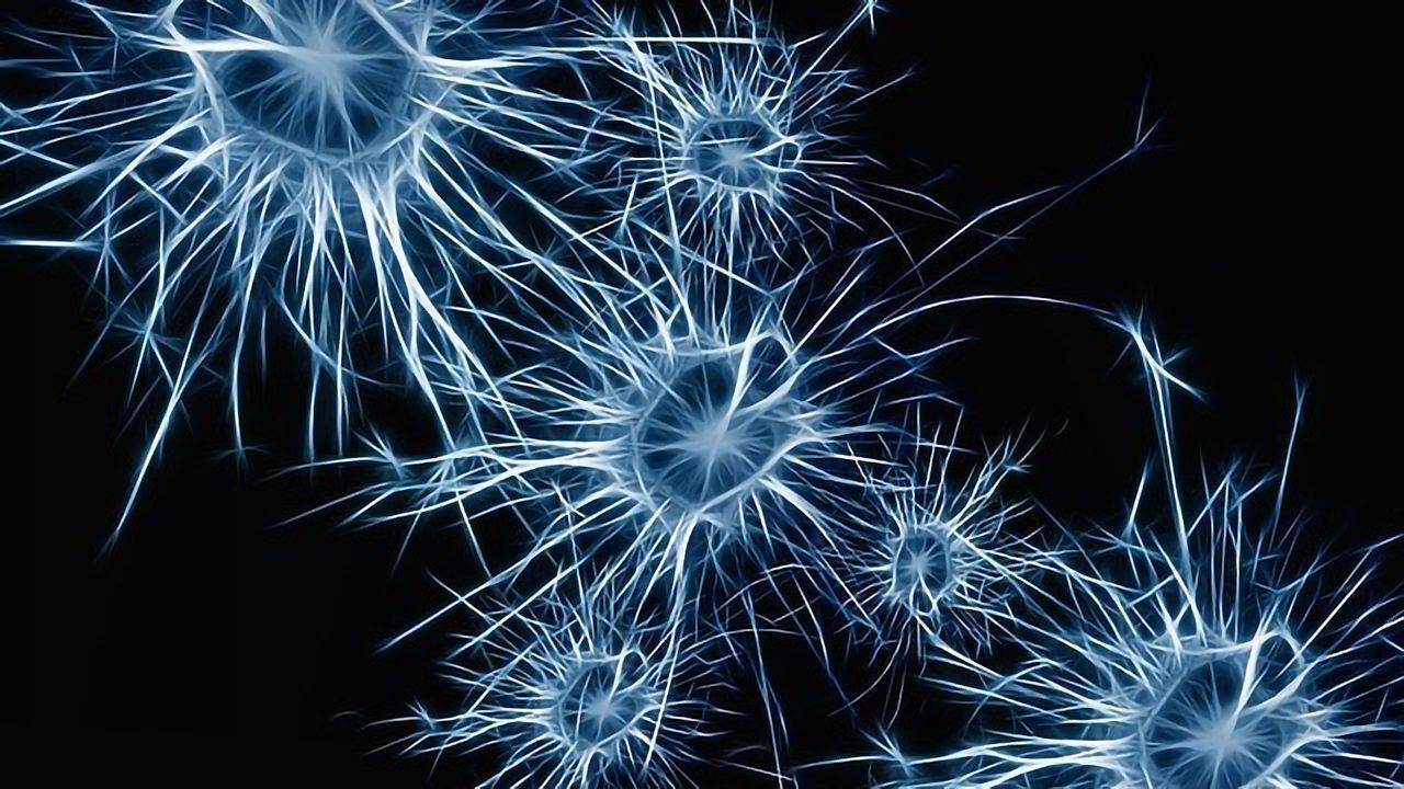 Is This Brain Cell the Link Between Consciousness and Its Contents?